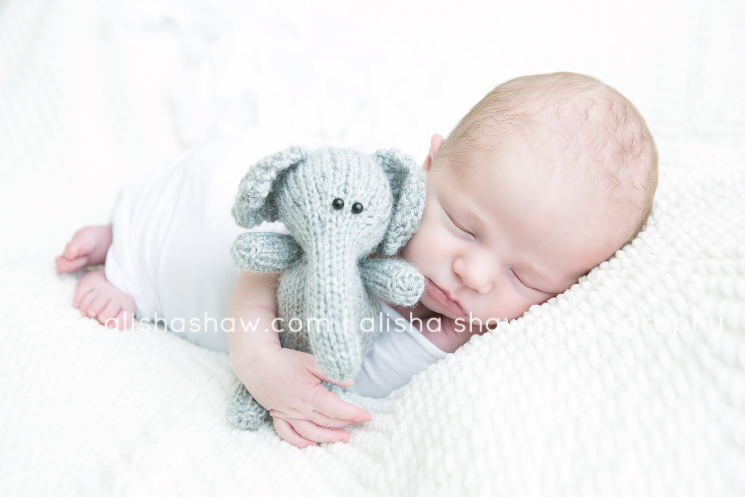 St George Utah Newborn Photographer