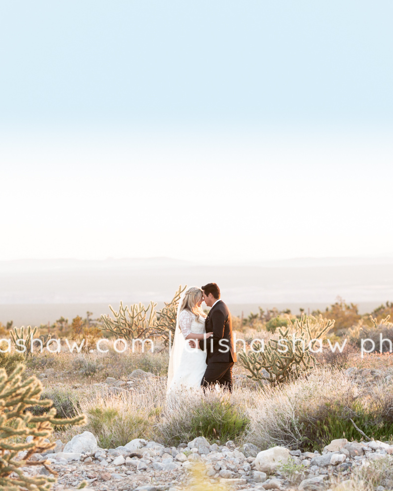 Desert Bridals | St George Utah Wedding Photographer