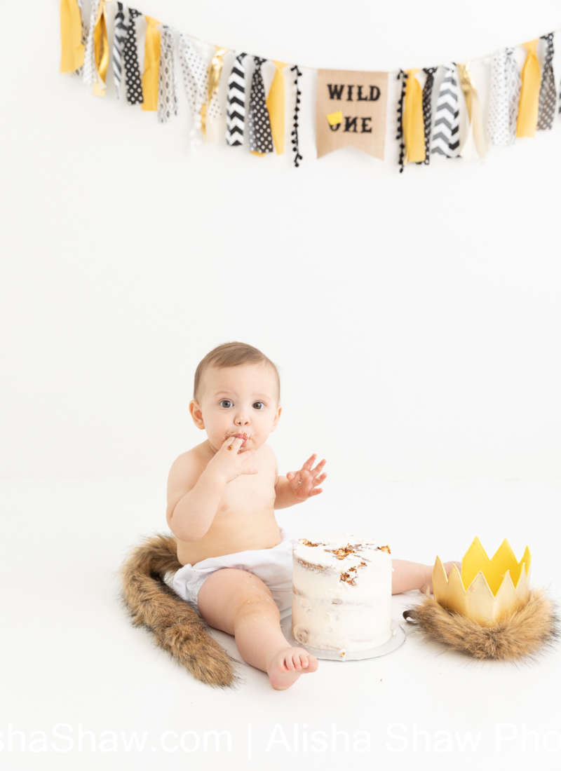 Wild Birthday | St George Utah Child Photographer