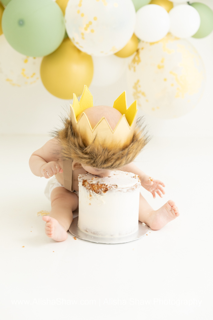 St George Utah Birthday Photographer