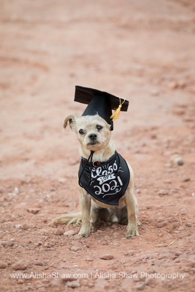 St George Utah Senior Portrait Photographer