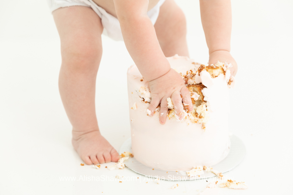 St George Utah Birthday Cake Smash Photographer