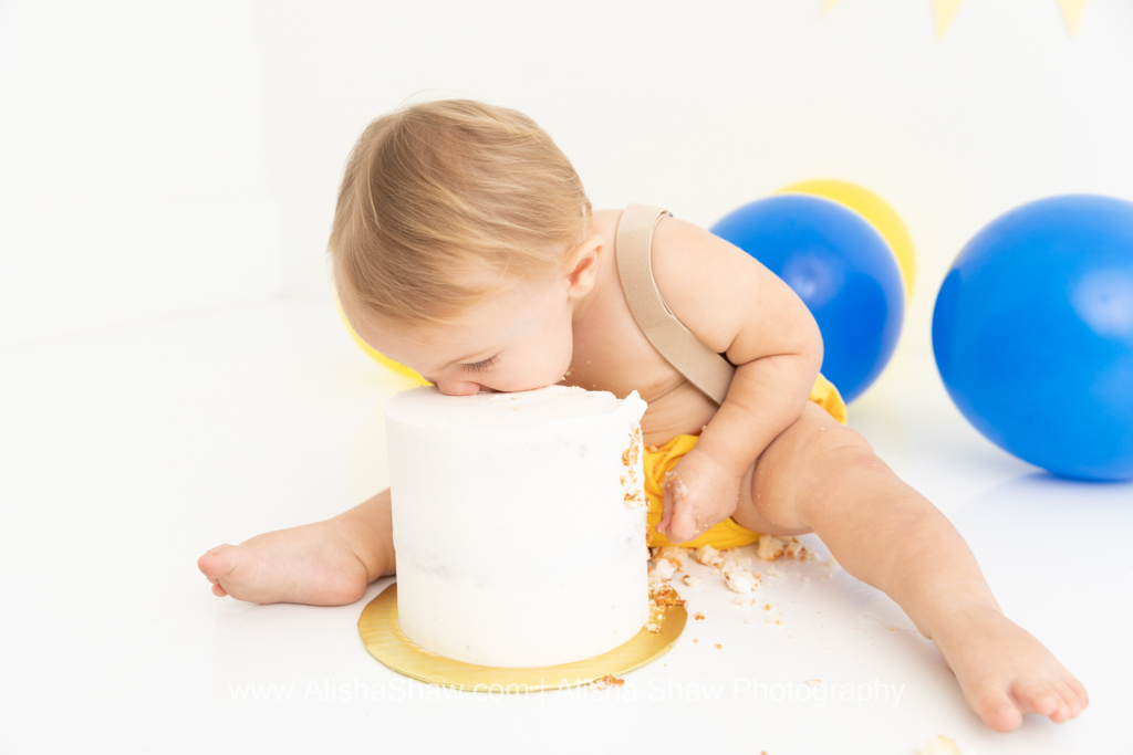 St George Utah Birthday Cake Smash Photographer