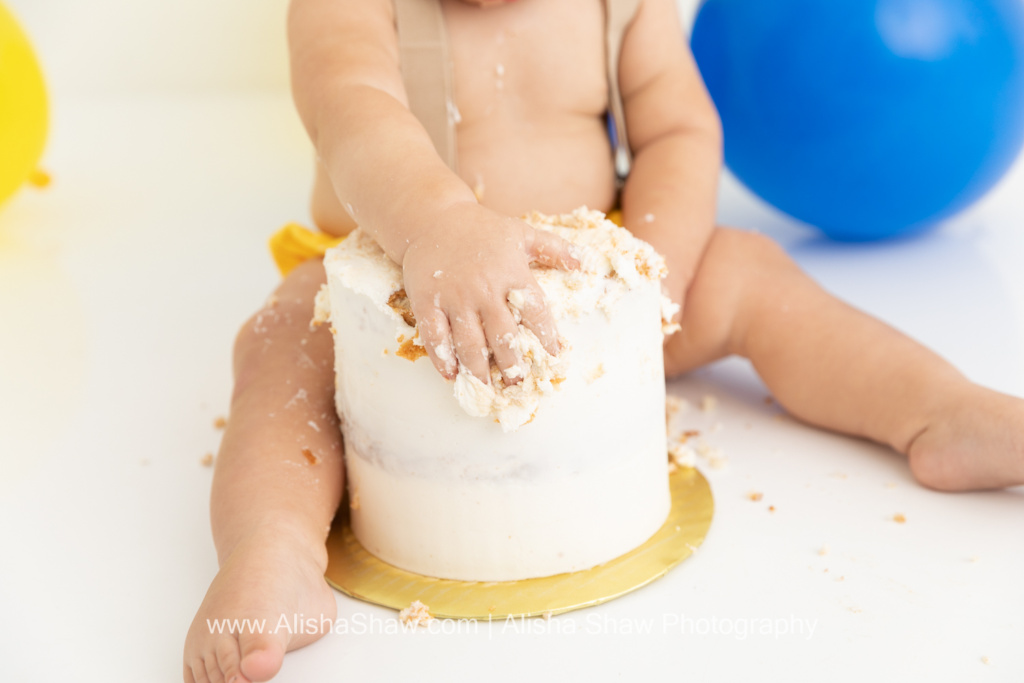 St George Utah Birthday Cake Smash Photographer